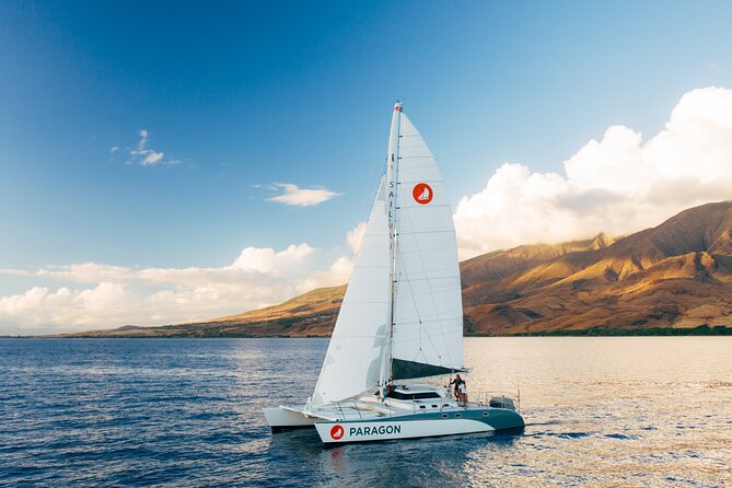 Midmorning Whale Watch from Lahaina Harbor - What You’ll See: Breaches, Tail Slaps, and Calves