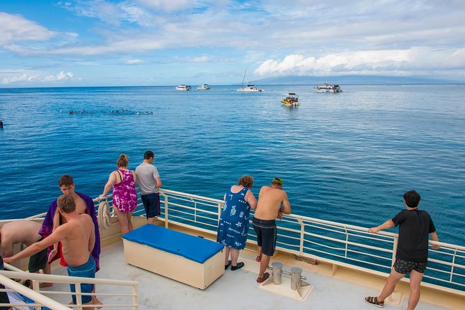 Molokini and Turtle Arches Snorkeling Trip from Ma'alaea Harbor - What You’ll See: Fish, Coral, and Wildlife That Depends on the Day