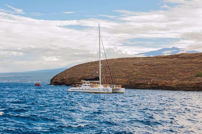 Molokini and Turtle Arches Snorkeling Trip from Ma'alaea Harbor - Price and Logistics: Is $209.99 Good Value?