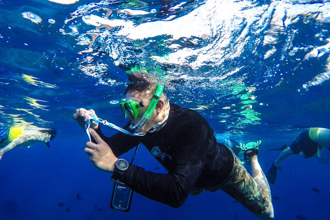 Molokini and Turtle Arches Snorkeling Trip from Ma'alaea Harbor - Who This Trip Fits Best on Maui
