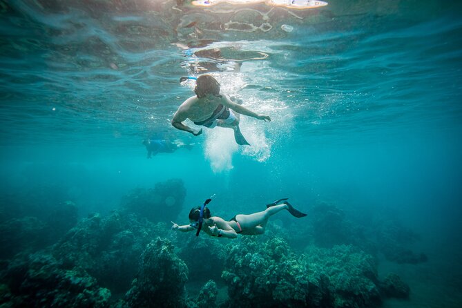 Molokini Crater Snorkel & Whale Watch Adventure (Dec 15-Mar 30) - Key things that make this tour work