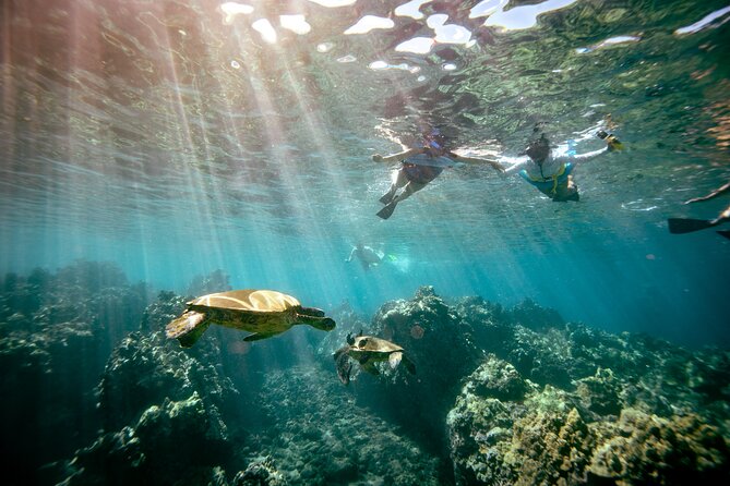 Molokini Crater Snorkel & Whale Watch Adventure (Dec 15-Mar 30) - What to bring (and what to skip) so your day stays easy