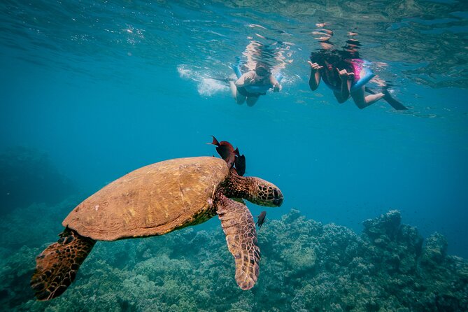 Molokini Crater Snorkel & Whale Watch Adventure (Dec 15-Mar 30) - The reality check: weather can change the day
