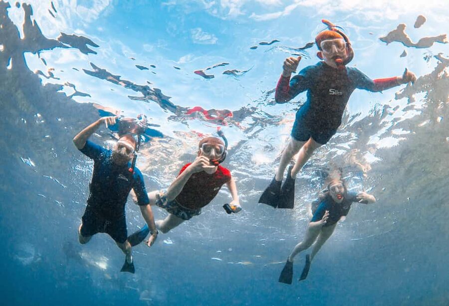 Molokini Crater Snorkel & Whale Watching (Dec 15 – Mar 30) - Snacks and the small-boat comfort factor (The Getaway style)