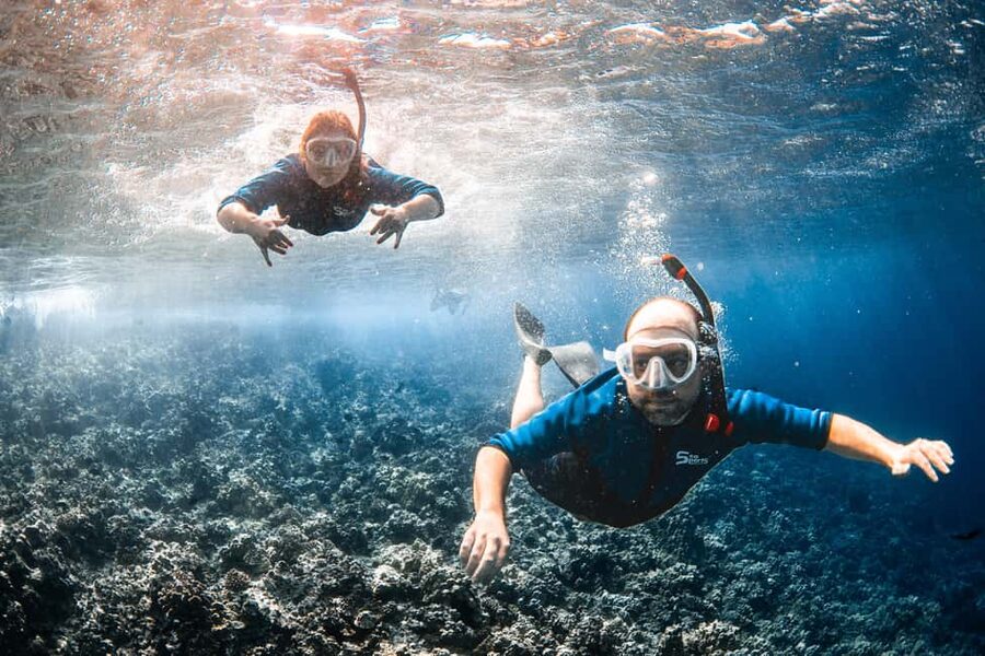 Molokini Crater Snorkel & Whale Watching (Dec 15 – Mar 30) - Weather reality: Molokini isn’t guaranteed, and that’s the point