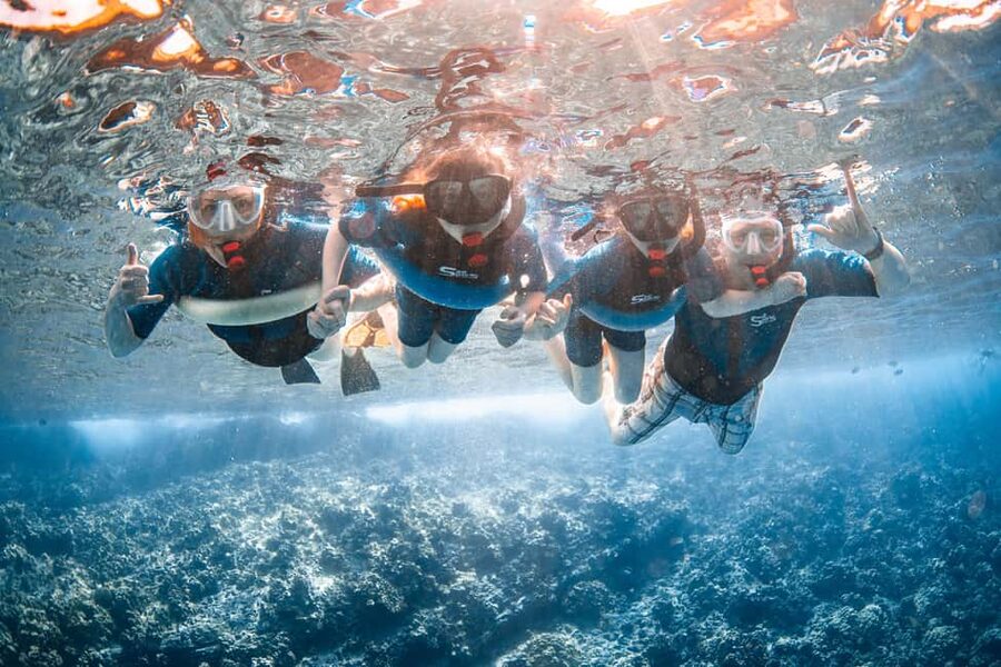 Molokini Crater Snorkel & Whale Watching (Dec 15 – Mar 30) - Value check: is $149 worth two hours of whales and snorkeling?