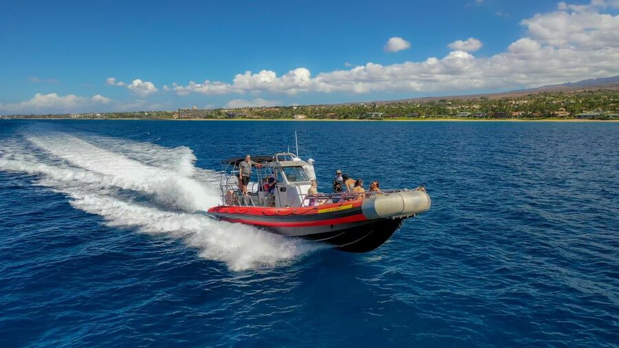 Molokini Crater Snorkel & Whale Watching (Dec 15 – Mar 30) - Makena Bay cruise: briefing, sightseeing, then whales