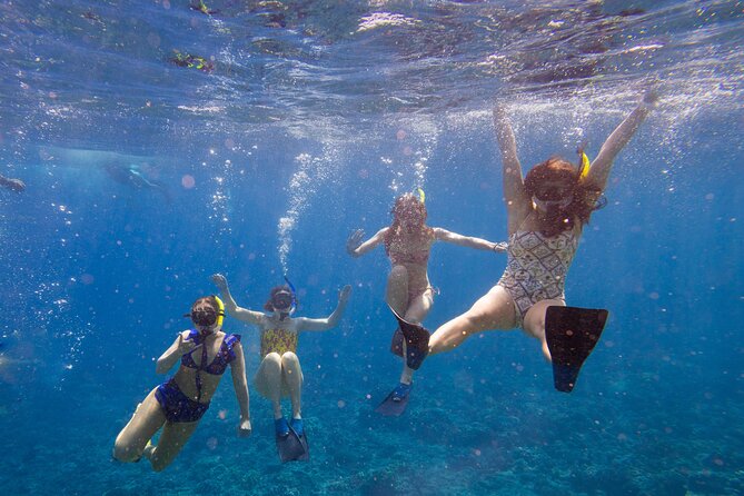 Molokini Snorkel and Performance Sail: Mā’alaea Harbor - Quick highlights