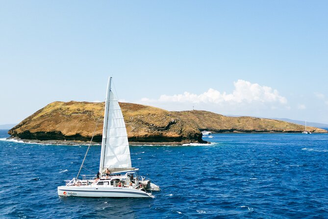 Molokini Snorkel and Performance Sail: Mā’alaea Harbor - Who should book this Molokini sail