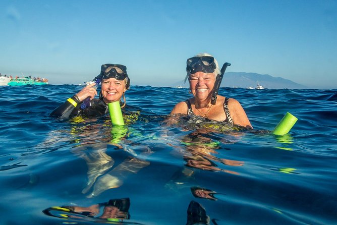 Molokini & Turtle Adventure: Small Group from Ma'alaea Harbor - Key Points You Should Know Before You Go