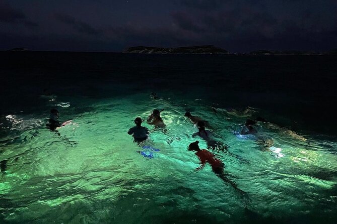Night-Time Snorkel at TurtleTown with Stars, Lights, and Photos - TurtleTown at night: why it feels so different
