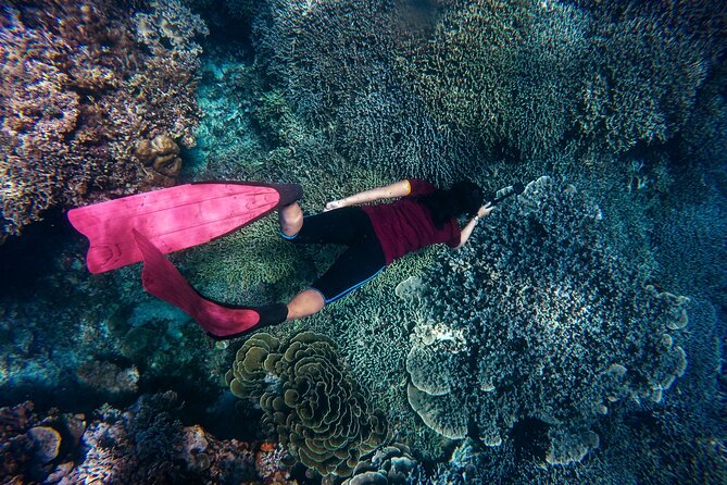 Night-Time Snorkel at TurtleTown with Stars, Lights, and Photos - The snorkeling route: shore coral, a cave viewing spot, and turtle zones