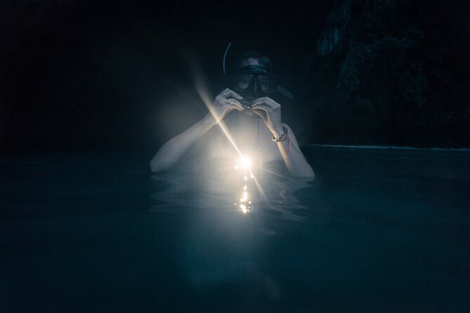 Night-Time Snorkel at TurtleTown with Stars, Lights, and Photos - Makena Landing Park logistics and the small-group setup
