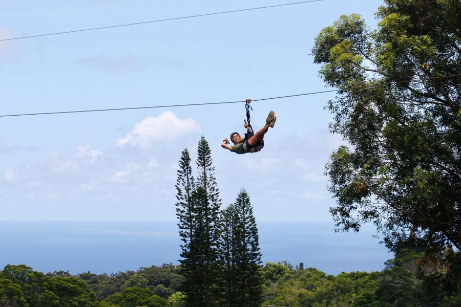 North Maui: 7 Line Zipline Adventure with Ocean Views - North Shore ziplining over eucalyptus and a WWII marine base