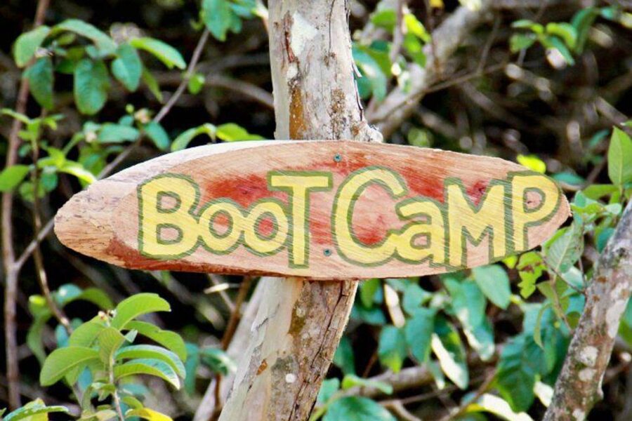 North Maui: 7 Line Zipline Adventure with Ocean Views - The guide quality: fun, focus, and hands-on support
