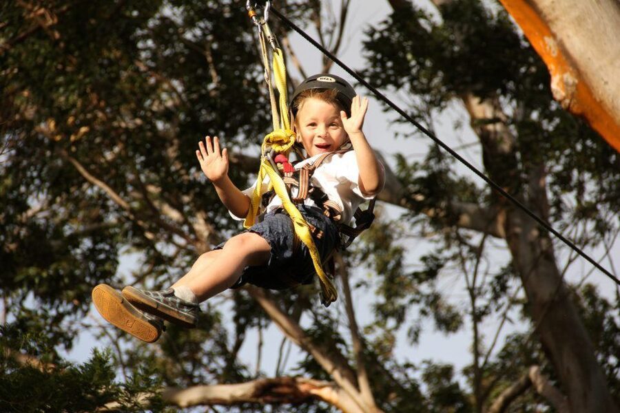 North Maui: 7 Line Zipline Adventure with Ocean Views - Price and value: is $155 fair for what you get?