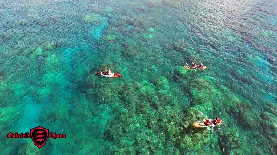 Olowalu: Guided Clear Kayak Tour - Unlimited - Accessibility and Comfort: Wheelchair-Friendly, But Know the Paddle Feel