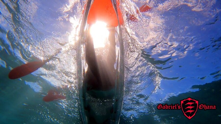 Olowalu: Guided Clear Kayak Tour - Unlimited - Paddling Out: Turtles, Manta Ray Cleaning Stations, and More