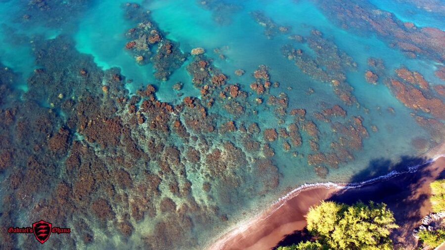 Olowalu: Guided Clear Kayak Tour - Unlimited - The Sustainability Touches: Reef-Safe, Reusable, and a Trash Pick-Up Moment