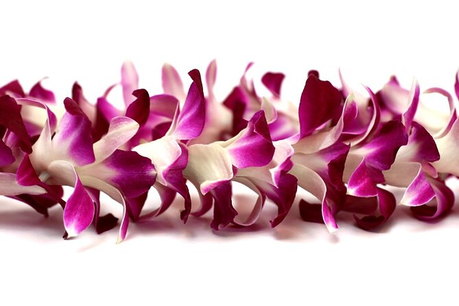 Orchid Airport Lei Greeting (Maui, Kahului Airport, OGG) - Lei, Name Sign, and the Quick Orientation Moment
