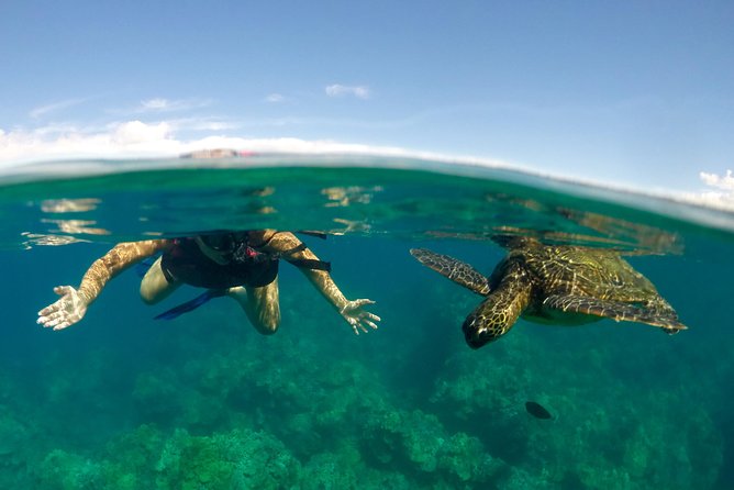 Paddle, Snorkel and Learn to Surf: All in a Day on Maui - Key things I’d watch for before you go