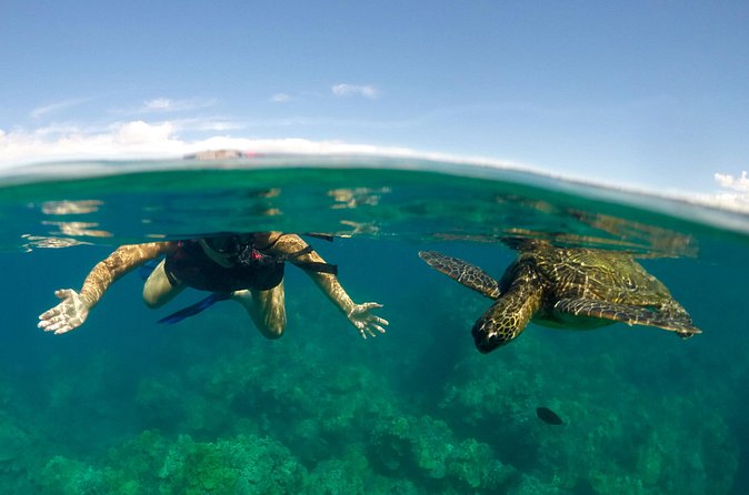 Paddle, Snorkel and Learn to Surf: All in a Day on Maui - Price and value: why $216.14 can make sense