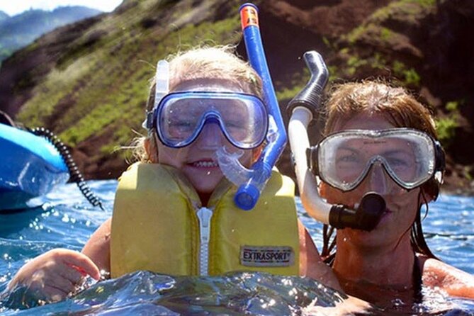 Paddle, Snorkel and Learn to Surf: All in a Day on Maui - Wildlife chances in Makena Bay: turtles are the headline