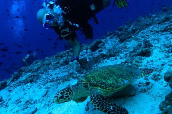PADI Scuba Lesson and Shore Dive in Maui - Kahekili Beach Park: The Maui Spot That Works for New Scuba Students