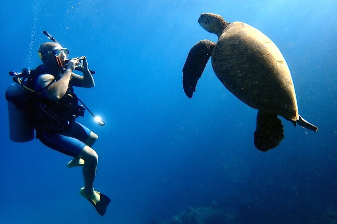 Private and Personalized Scuba Diving Adventures for All Experience Levels - Private Maui Snorkel or Scuba: What Makes It Feel Personal