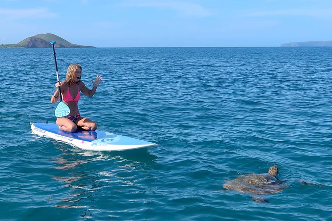 Private Beginner Paddleboard 101 Lesson: Makena Landing! - What Happens During the 2-Hour Lesson: From Shore Basics to Real Paddling