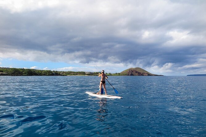 Private Beginner Paddleboard 101 Lesson: Makena Landing! - Sea Turtles and Wildlife: How to Enjoy the Moment Without Losing Balance