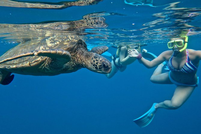 Private Beginner Paddleboard Lesson with Snorkel in Turtle Town - Makena Landing Park: where your 2-hour lesson starts (and why it’s easy)