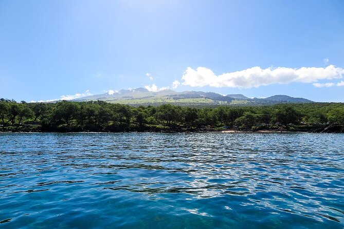 Private Beginner Paddleboard Lesson with Snorkel in Turtle Town - Safety and comfort: the stuff that makes or breaks the day