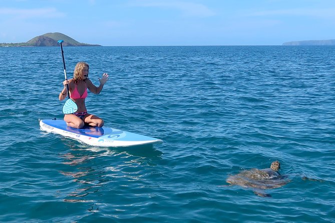 Private Beginner Paddleboard Lesson with Snorkel in Turtle Town - What you actually do for those 2 hours: a clear flow