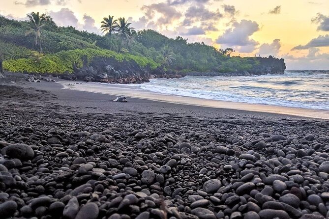 Private Full Day Hana Jeep Tour - Ke‘anae Point: Lava Rocks, Ocean Views, and Aunty Sandy’s Banana Bread