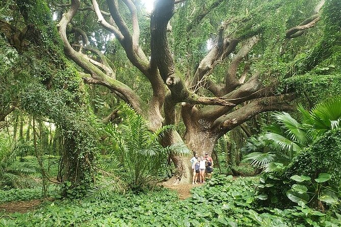 Private Full Day Maui Road to Hana Tour - Timing: what 8 to 9 hours feels like on the road