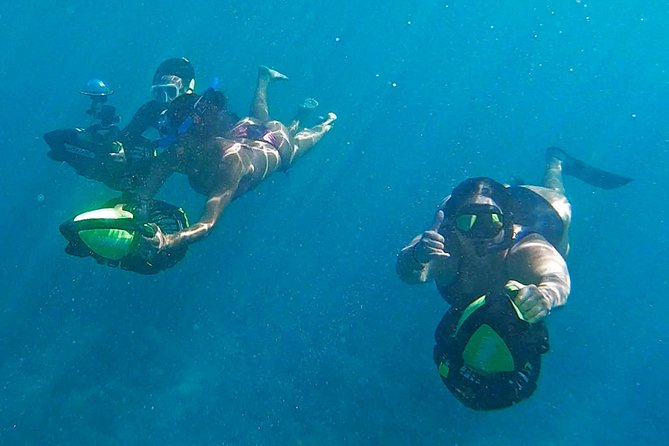 Private Guided Tours Beach Entry with Sea Scooters up to 5 guests - The Hawaii Coral Institute video (and the conservation angle)