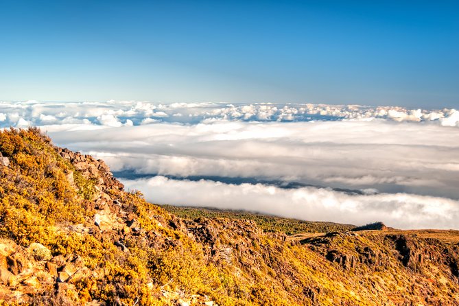 Private Haleakala Summit & Stroll from Kahului - Value check: what’s included, and what you may pay extra for
