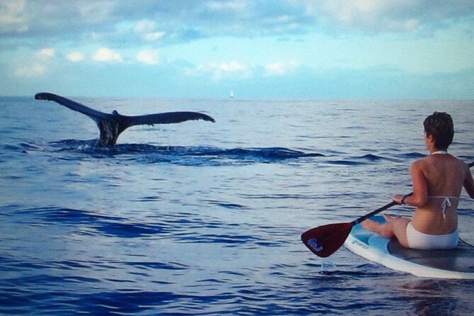 Private Paddleboard (SUP) Whale Watch: All Skill Levels Welcome - Makena Landing Park: your starting point on the Kihei side