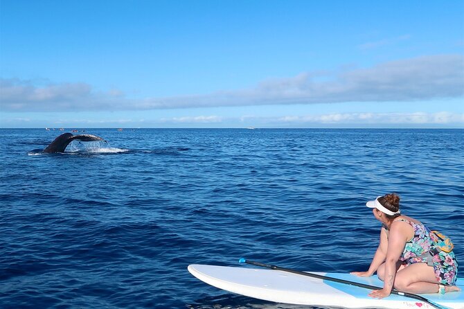 Private Paddleboard (SUP) Whale Watch: All Skill Levels Welcome - Price and value for a $189 private 2-hour SUP whale watch