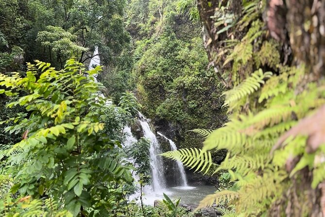 Private Road to Hana Maui Open-Air Jeep Tour - Pua’a Ka’a State Park: rainforest trails and waterfall viewpoints