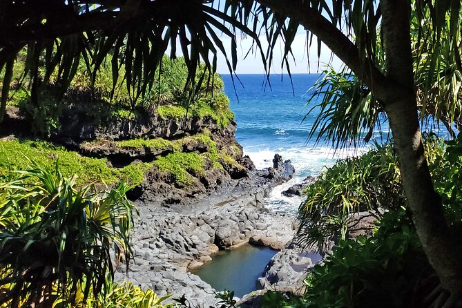 Private Road to Hana or any Maui destination in Luxury Mercedes Sprinter - Olivo Farms: wide views and a calm stop to reset