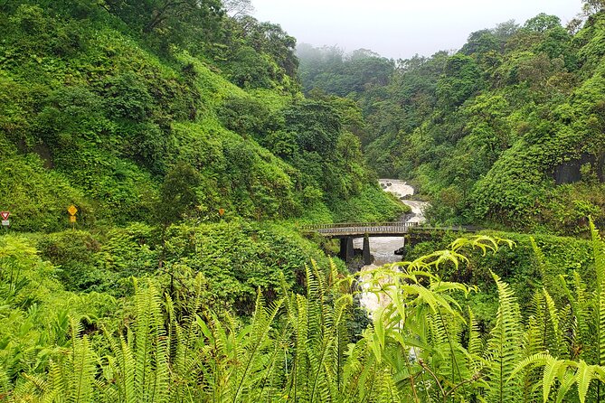 Private Road to Hana or any Maui destination in Luxury Mercedes Sprinter - Chauffeur narration that turns driving time into learning time