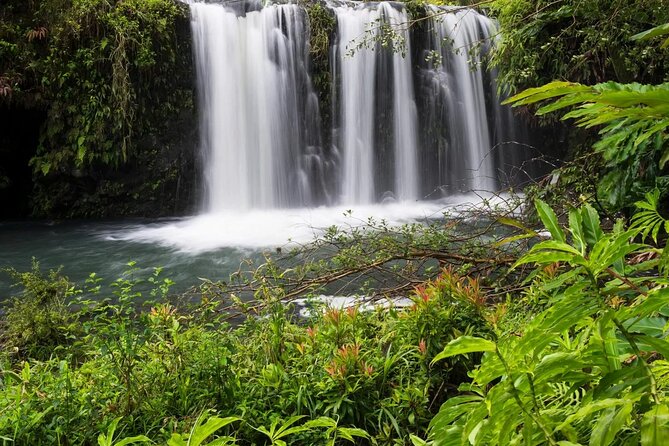 Private Road to Hana Rainforest & Waterfall Experience from Maui - Key highlights at a glance