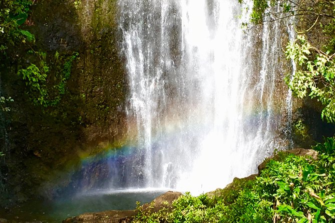 PRIVATE Road to Hana Tour - Bamboo forest pass-by: quick scenery refresh