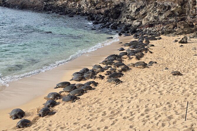 Private Road to Hana Tour with Pickup - Key Highlights Worth Booking This Private Hana Day For