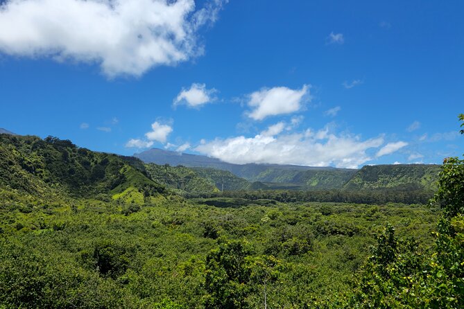 Private Road to Hana Tour with Pickup - Hana Lunch and Hana Bay: Eat Well, Then Get Back to the Views