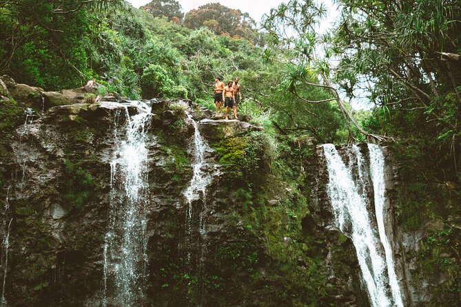 Private Road To Hana Tour with Professional Photos Included - Price and logistics: whether $650 per person makes sense