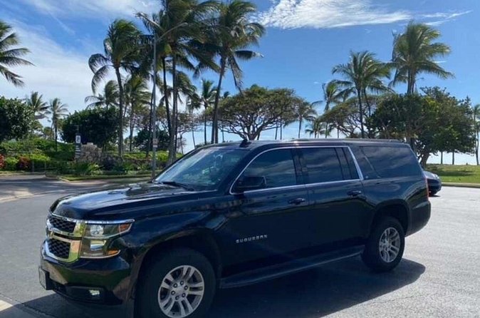 Private Round-Trip Transfer: Maui Kahului Airport to Maui Hotels - Who this transfer is best for (and who should consider alternatives)