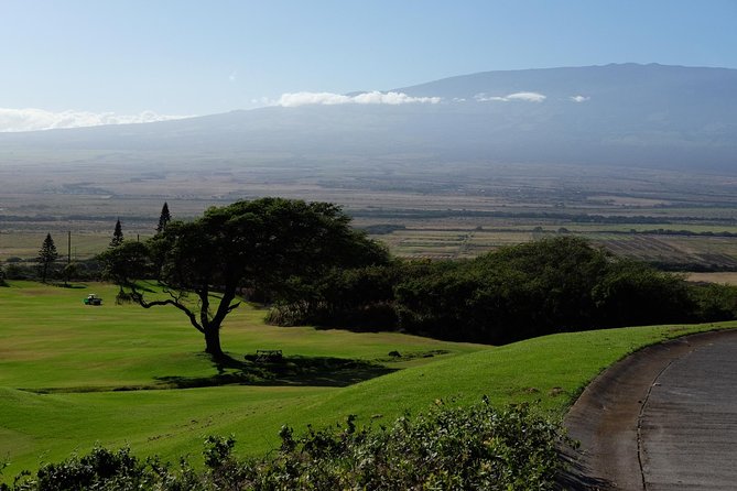 Private Shore Excursion: Best Highlights of Maui - How Private Pickup, Transfers, and Timing Shape Your Day